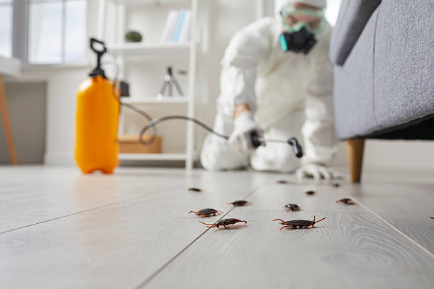 Post-Treatment Bed Bug Interceptor Monitoring in Crooksville
