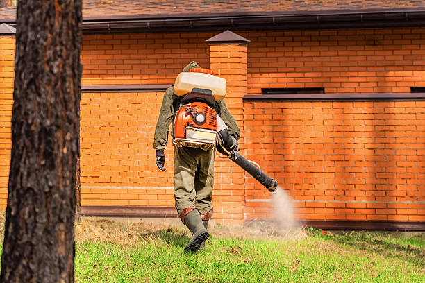 Bed Bug Clearance Verification and Documentation in Crooksville